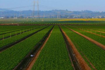 What are the various advantages of Agriculture