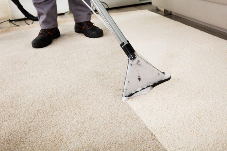 commercial carpet cleaning service in Charlotte, NC